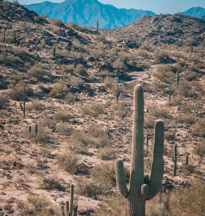 Phoenix Addiction Treatment Centers